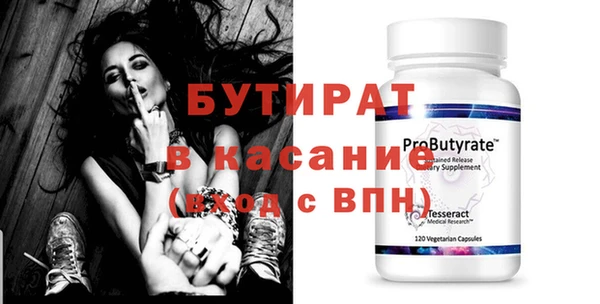 шишки Няндома